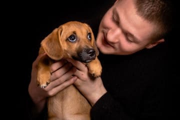 Taking Care Of Dachshund Puppies