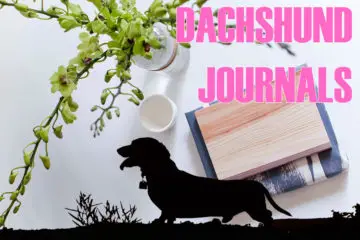 Have You Seen These Dachshund Journals?