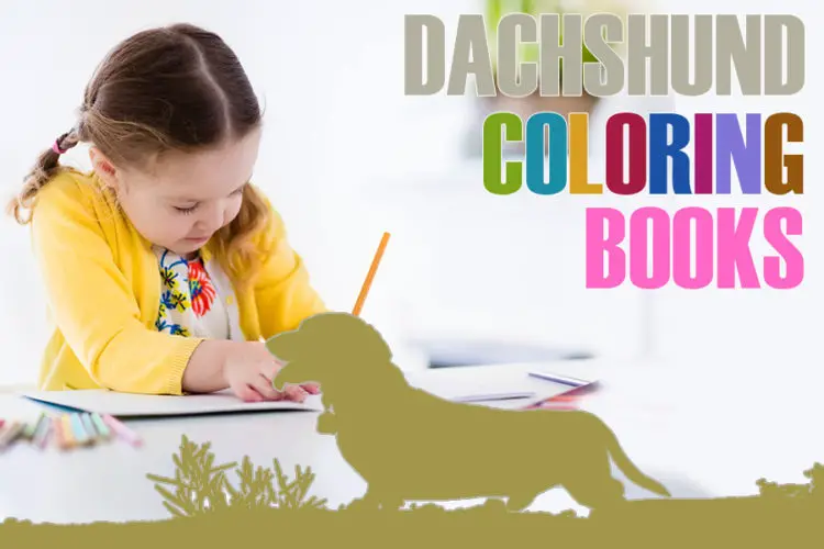 Dachshund Coloring Books