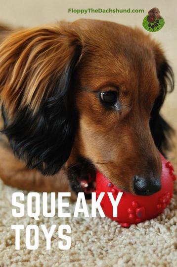 why does my dog hate squeaky toys