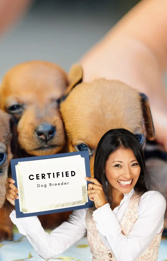 How to Become a Certified Dog Breeder -
